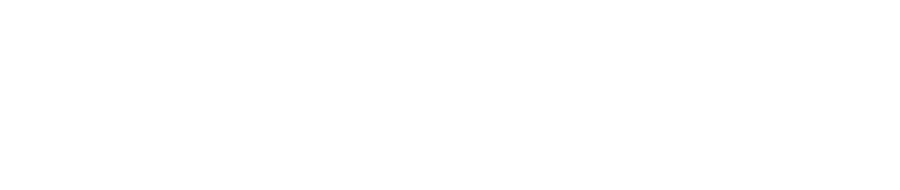 DRVN Online Store